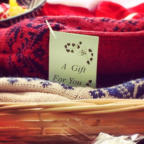 Una Bhan case study, Roscommon LEADER Partnership