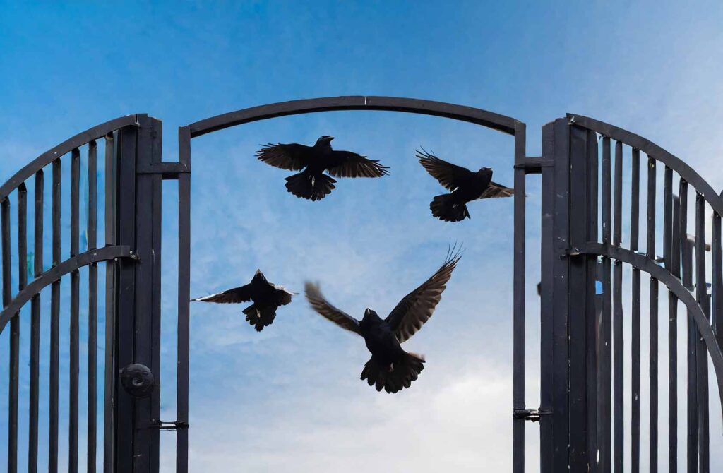 Resource Centre Castlerea Prison.