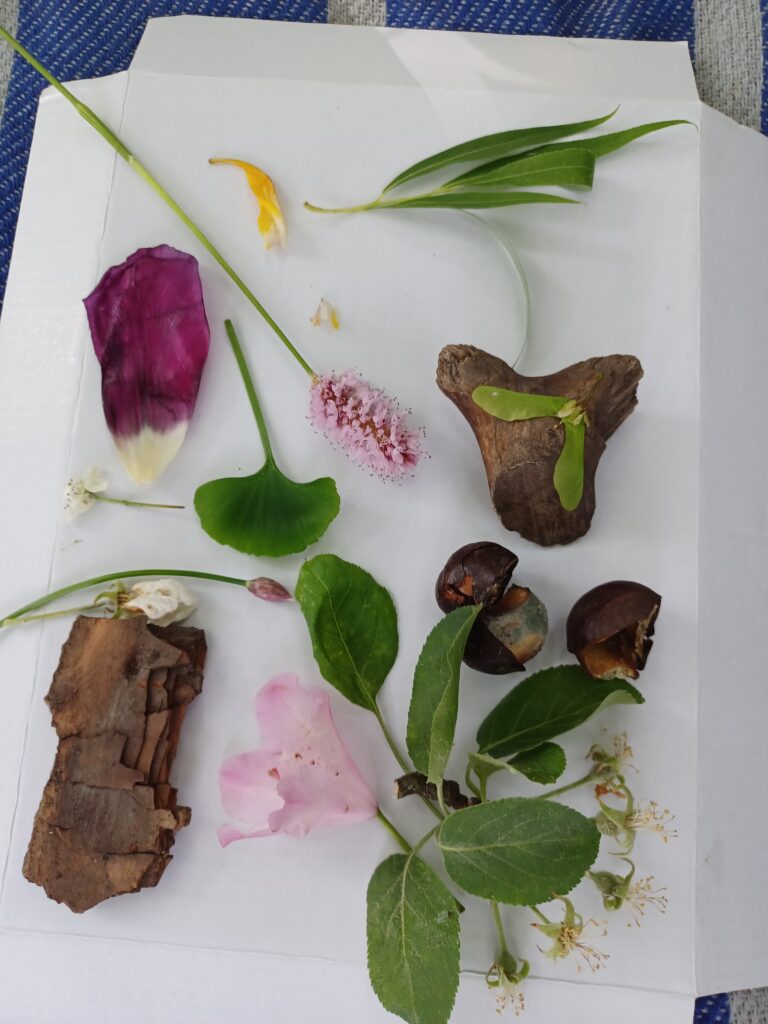 Erasmus Planet Pulse.